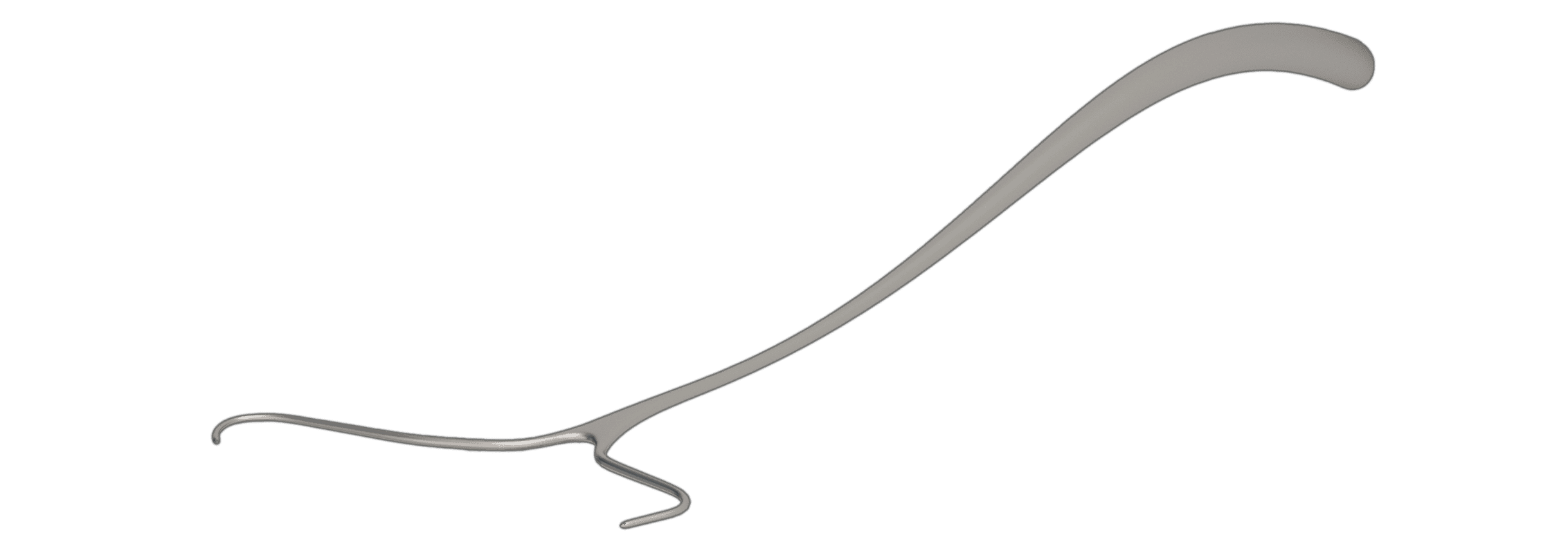 attavvaglia dell'osso